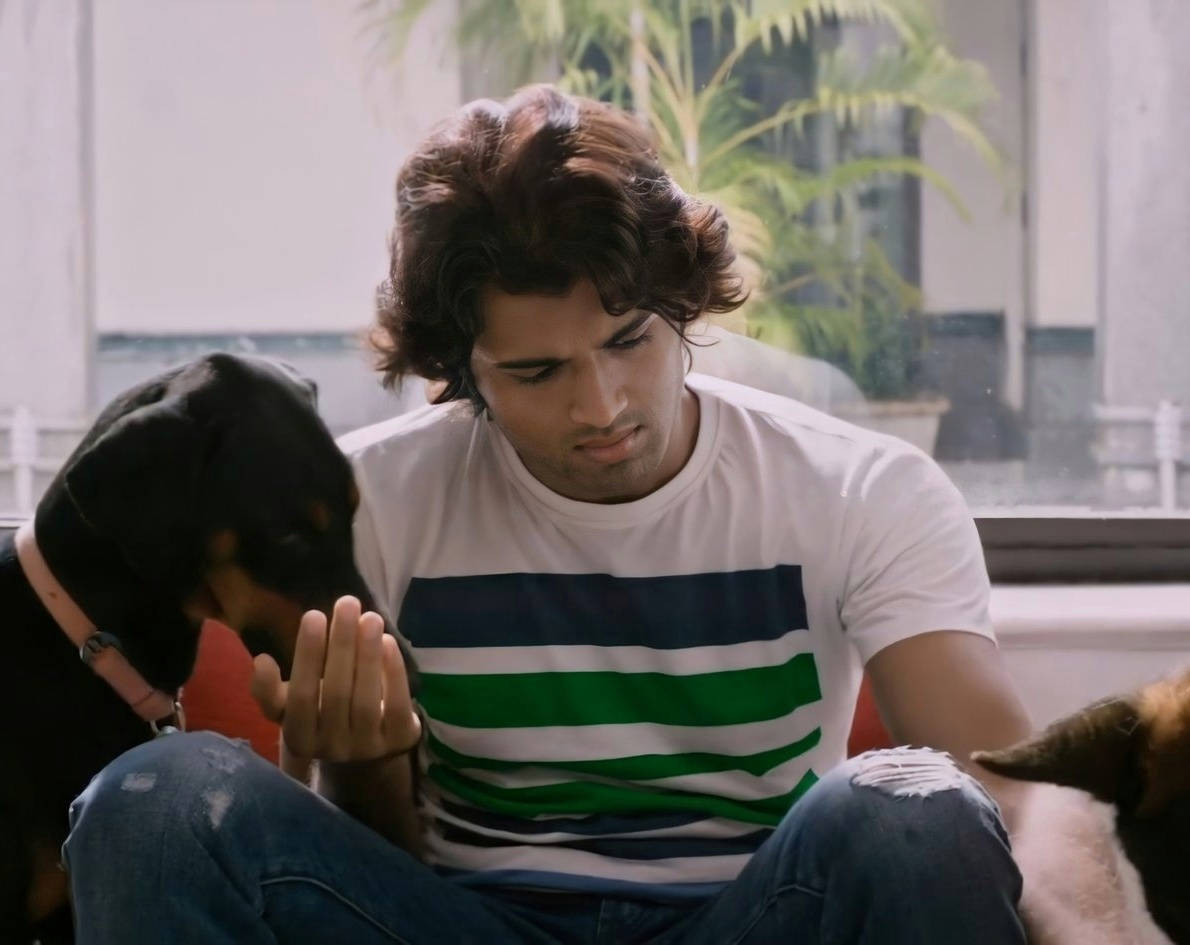 Arjun Reddy Chilling With His Canine Companions Wallpaper