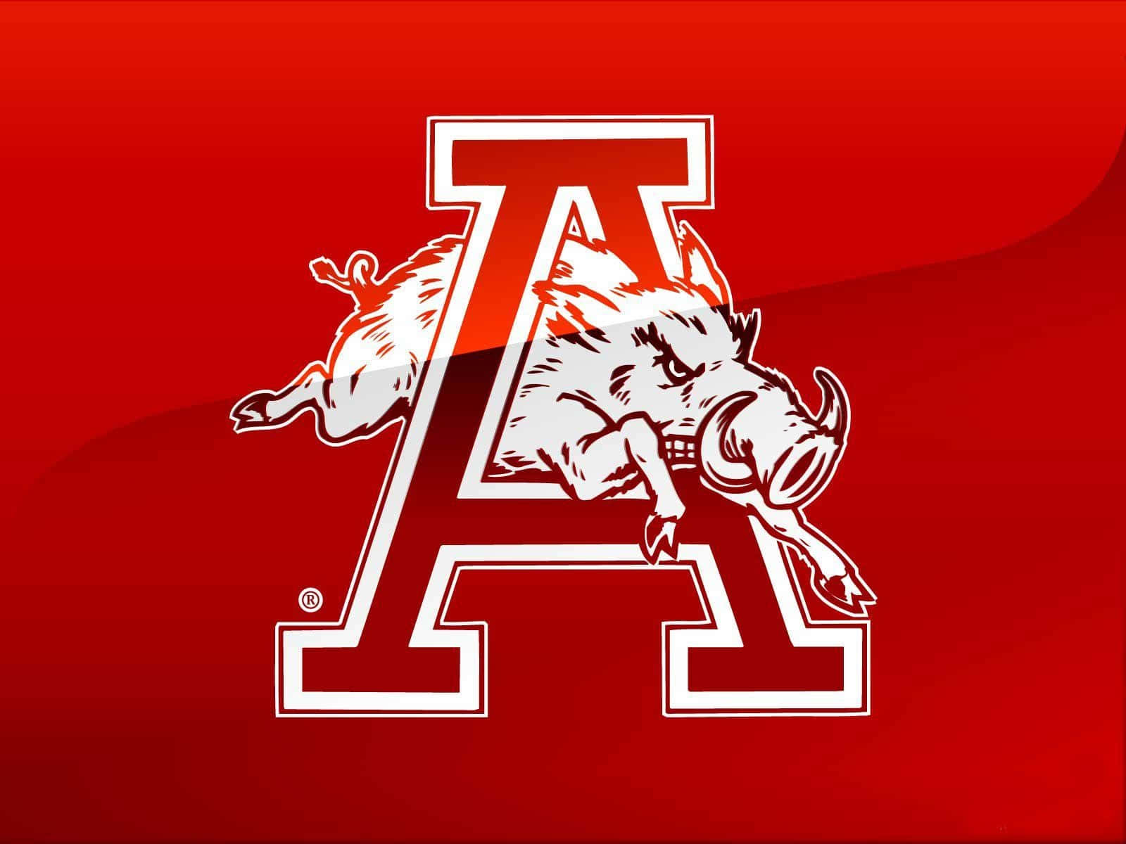 Arkansas Razorbacks Red 