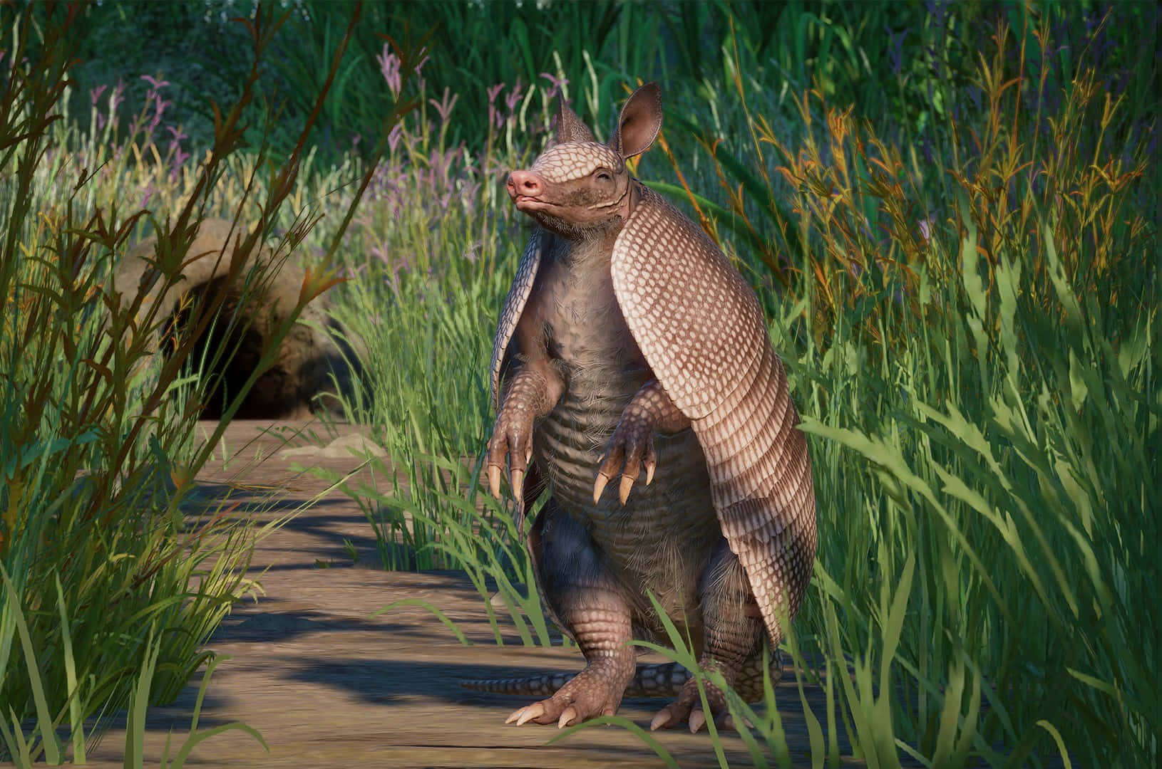 Armadillo Standingin Nature Wallpaper