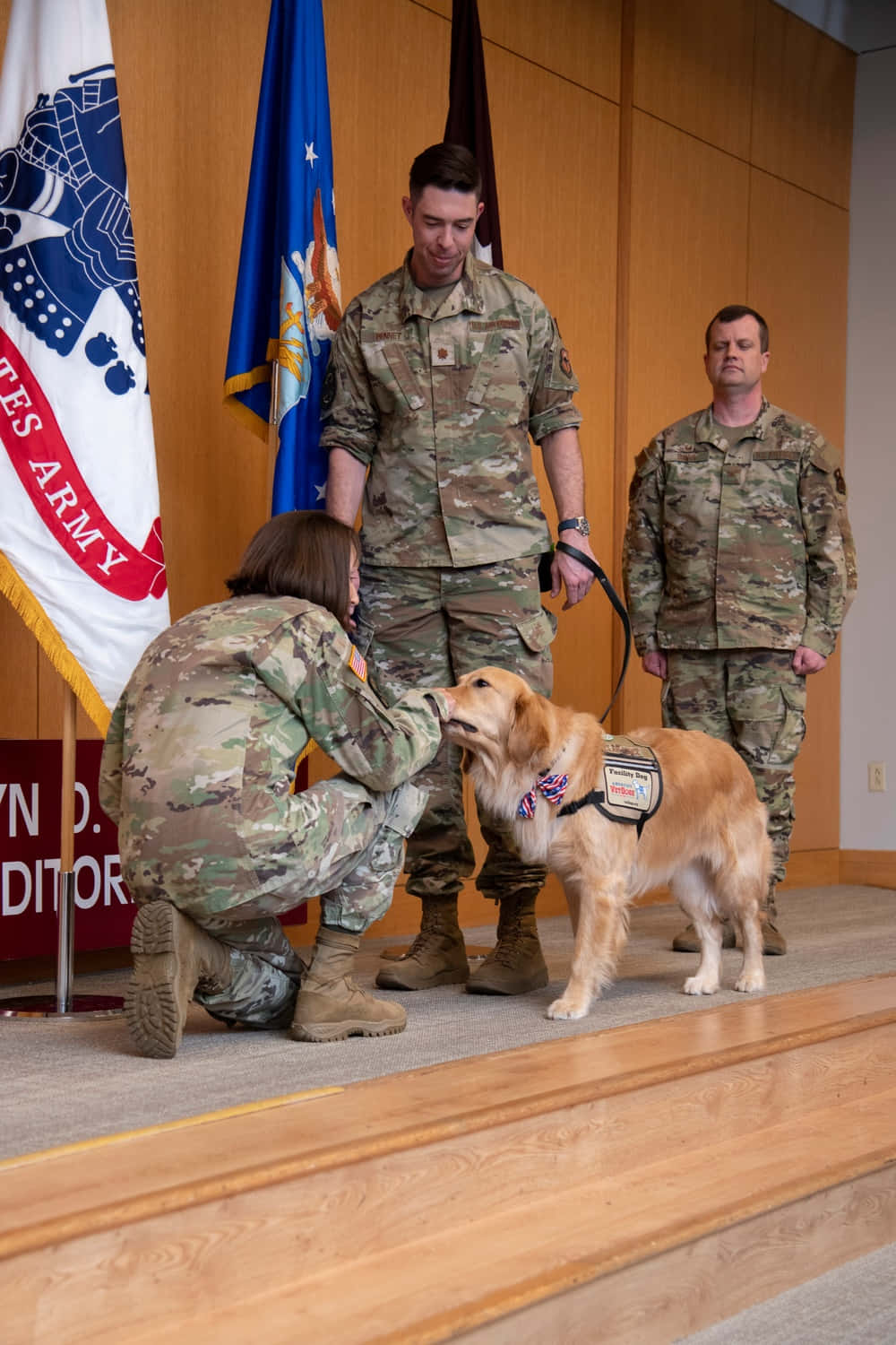 Army Dog Receiving Affection Wallpaper