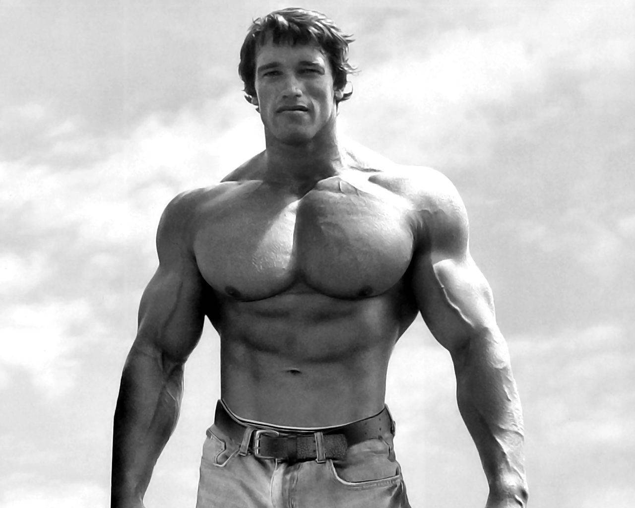 Arnold Schwarzenegger - Legendary Actor And Former Governor Wallpaper