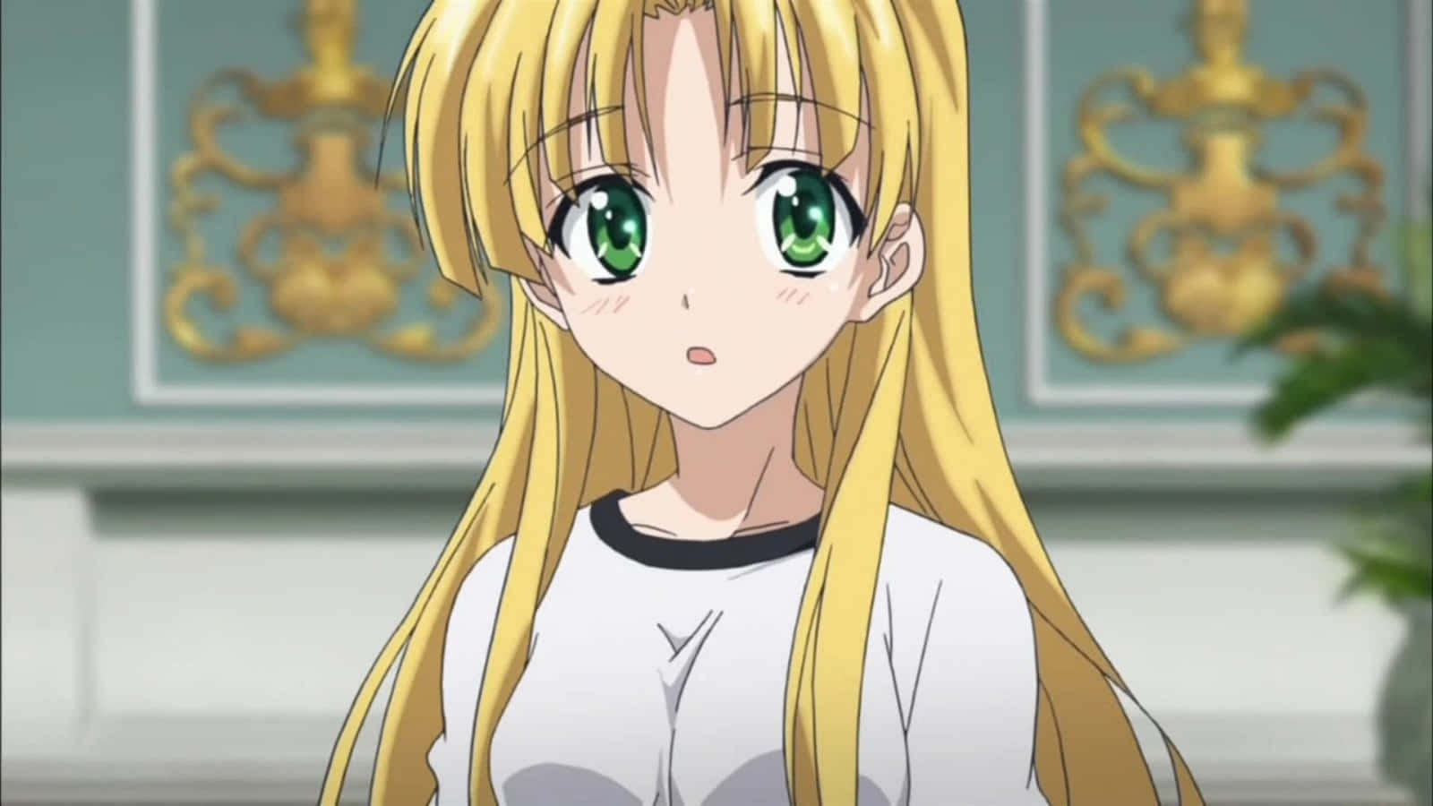 Asia Argento In Highschool Dxd - An Ardent Expression Wallpaper