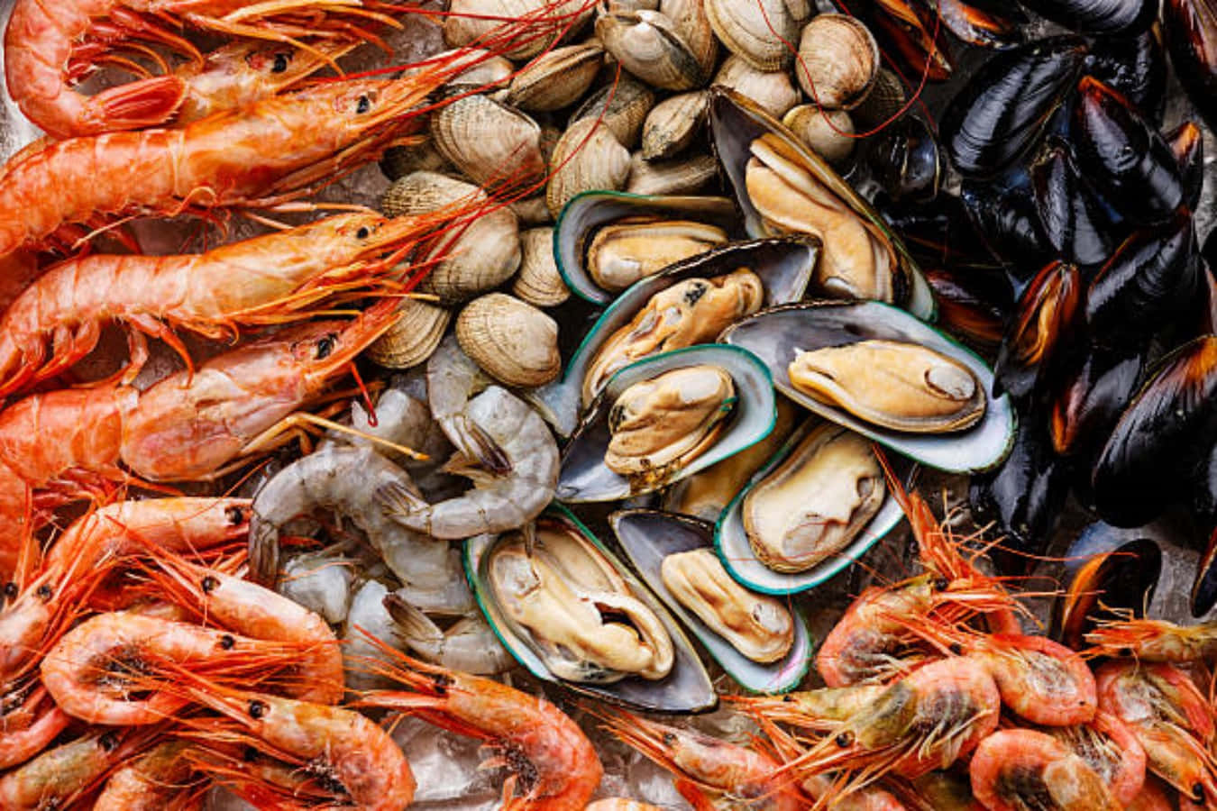 Assorted Seafoodand Shellfish Wallpaper