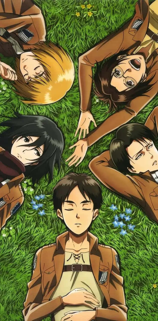 Attackon Titan Characters Relaxingin Grass Wallpaper