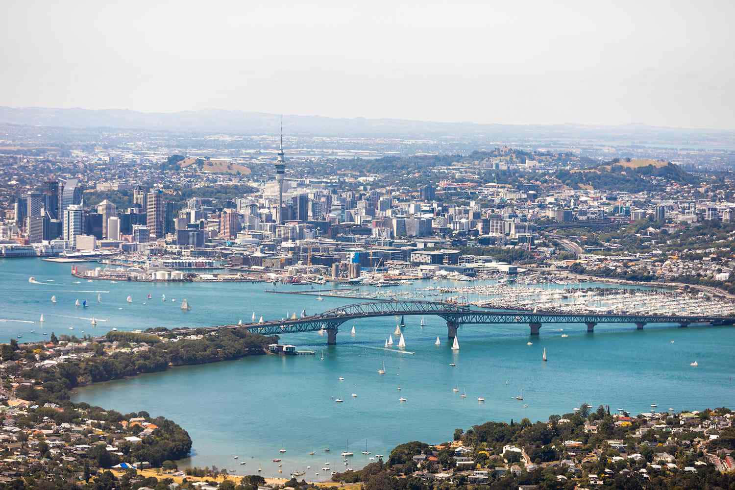 Auckland Cityscapeand Harbour Bridge Wallpaper