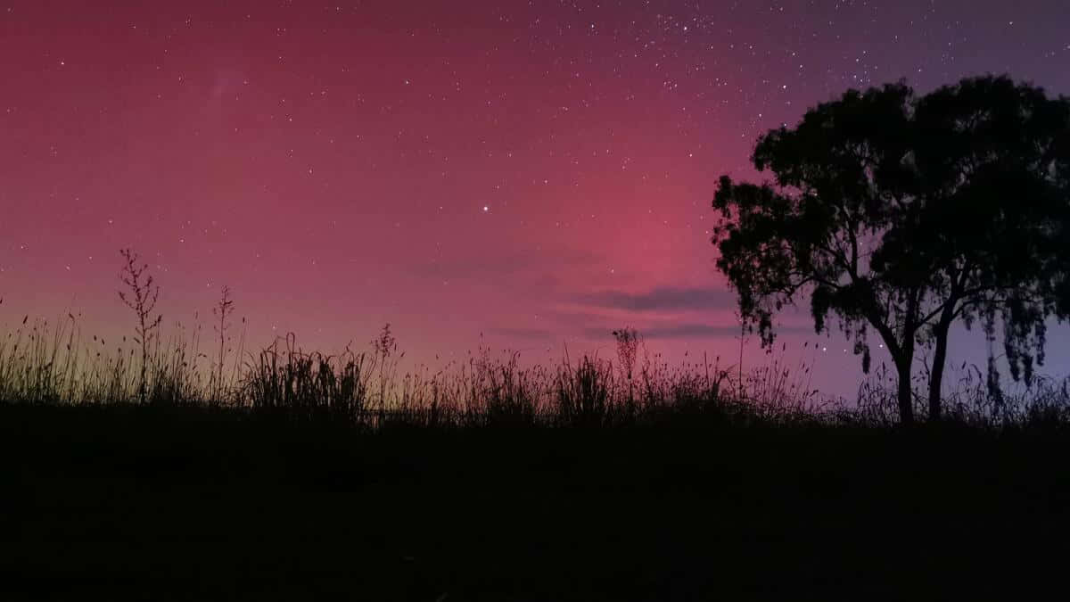 Aurora Australis Night Sky Wallpaper