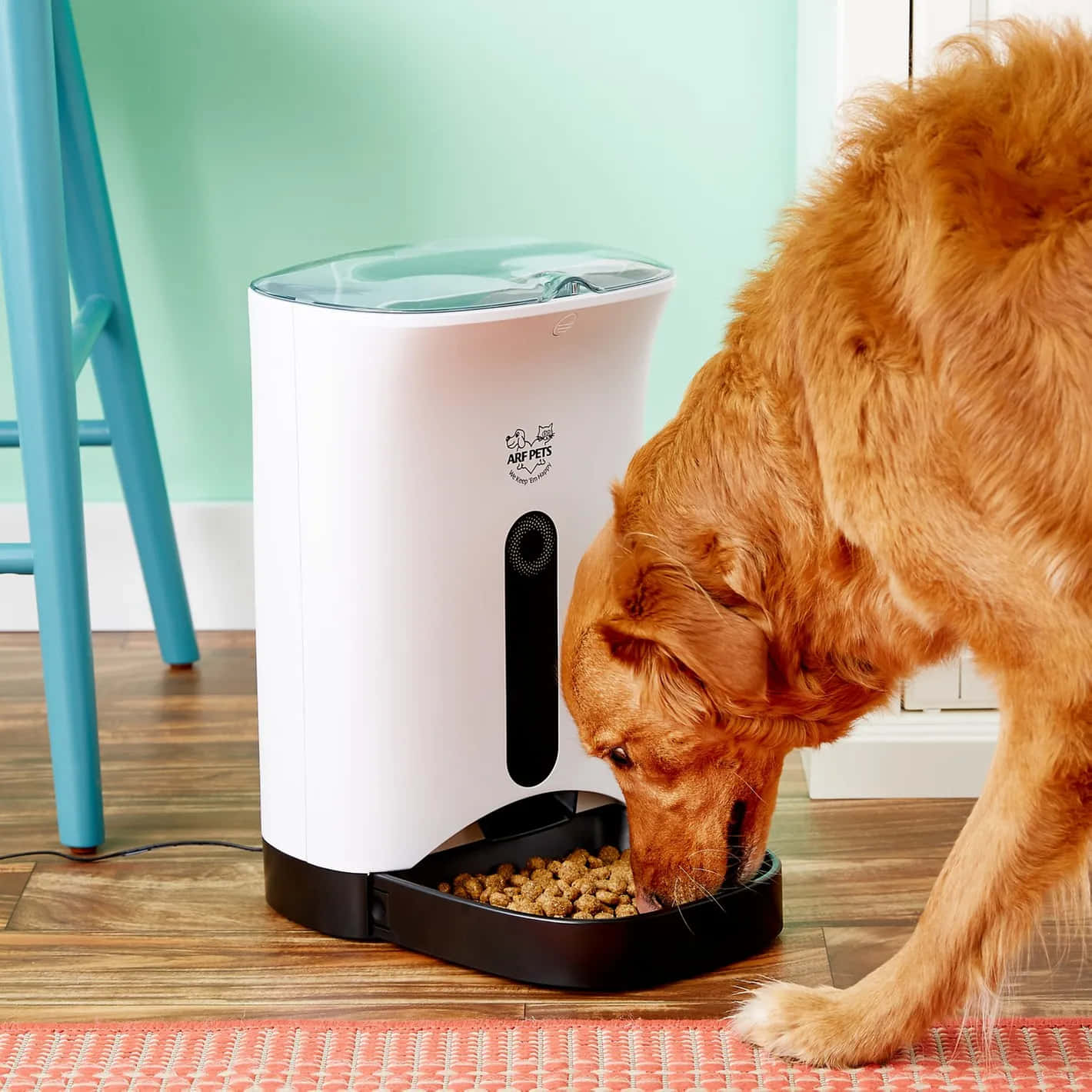 Automatic Feeder Feeding A Dog Wallpaper