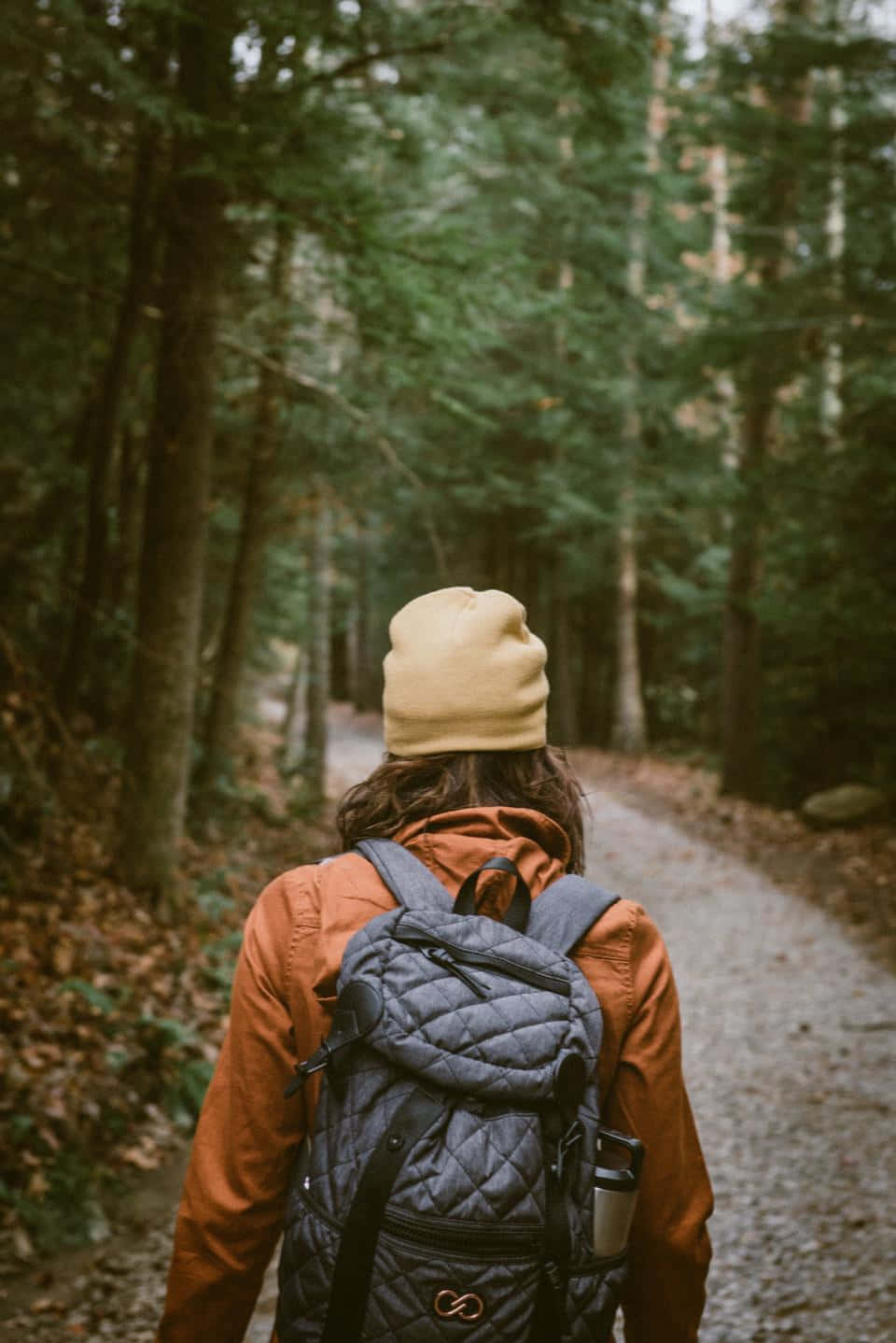 Autumn Hike On A Scenic Trail Wallpaper