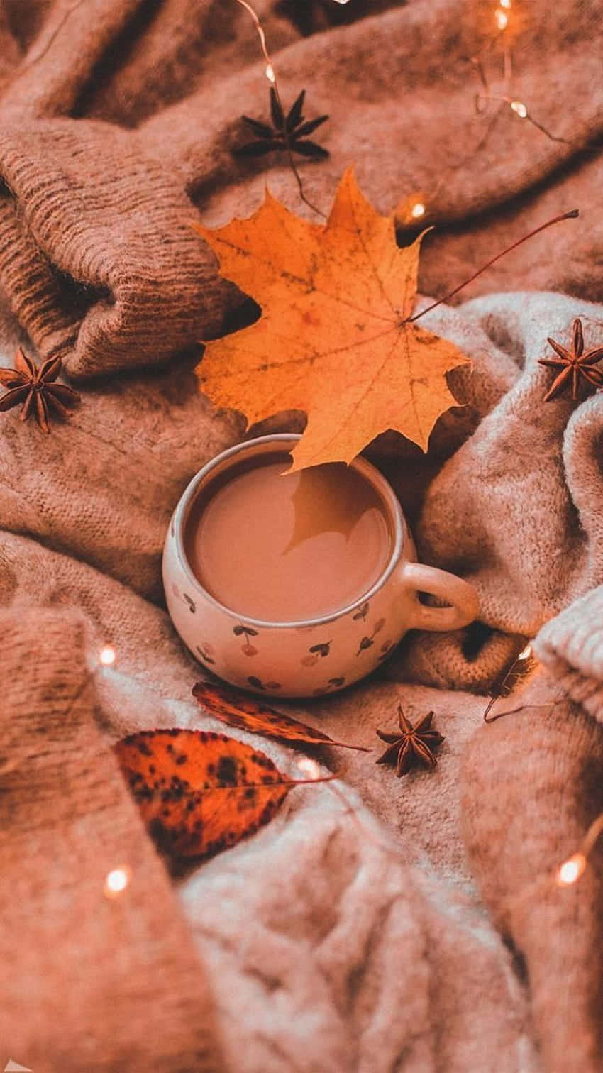 Autumn Leaves, Autumn Leaves, Autumn Leaves, Autumn Leaves, Autumn Leaves, Autumn Leaves, Autumn Leaves, Autumn Leaves, Autumn Leaves, Autumn Leaves, Autumn Leaves Wallpaper