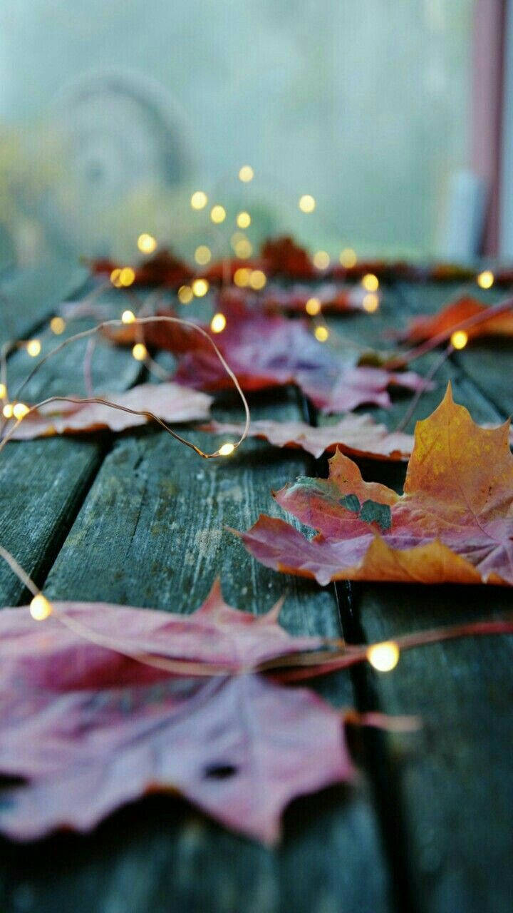 Autumn Leaves On A Wooden Table With Lights Wallpaper