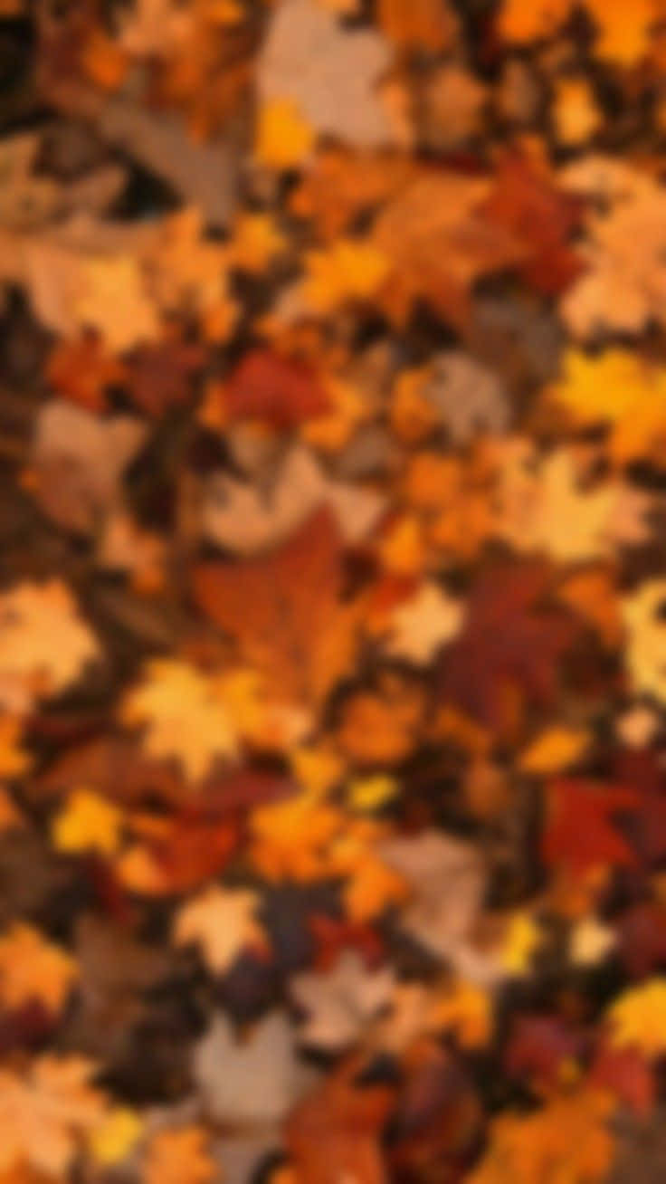 Autumn Leaves Texture.jpg Wallpaper