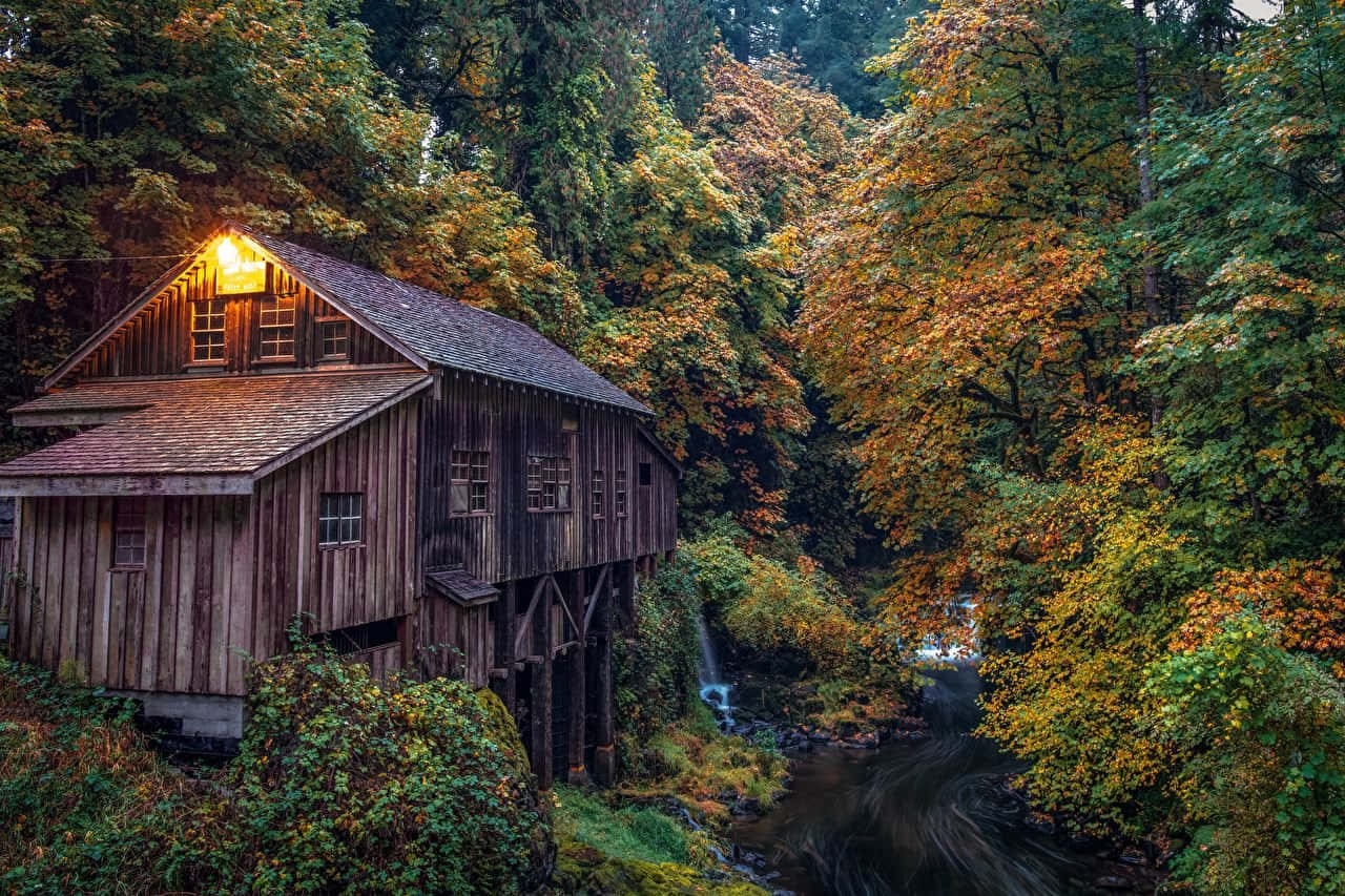 Autumn Mill Woodland Stream Wallpaper