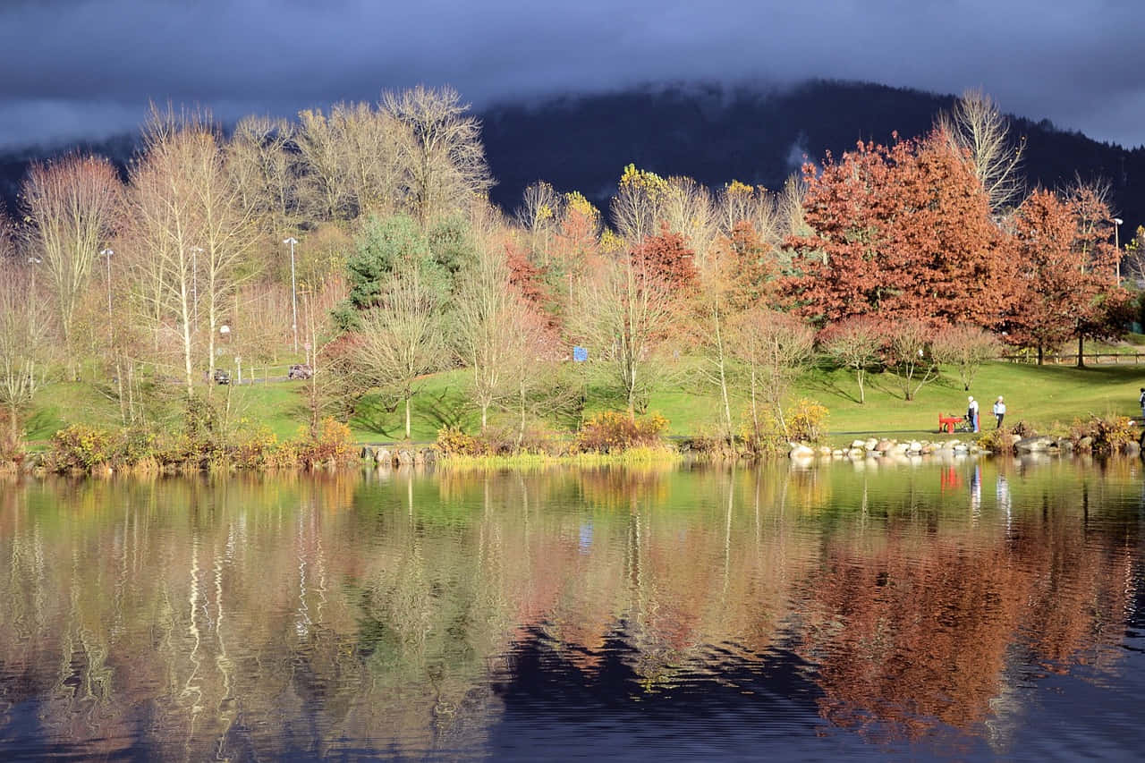 Autumn Park Reflection Coquitlam Wallpaper