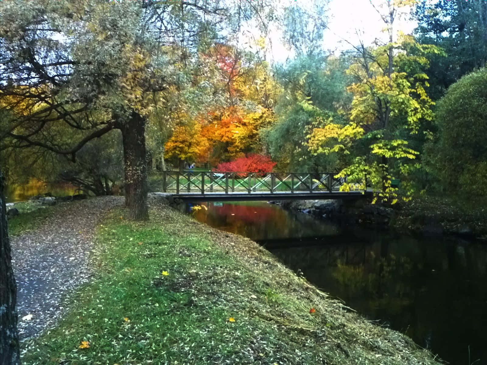 Autumn Park Scene Gavle Sweden Wallpaper