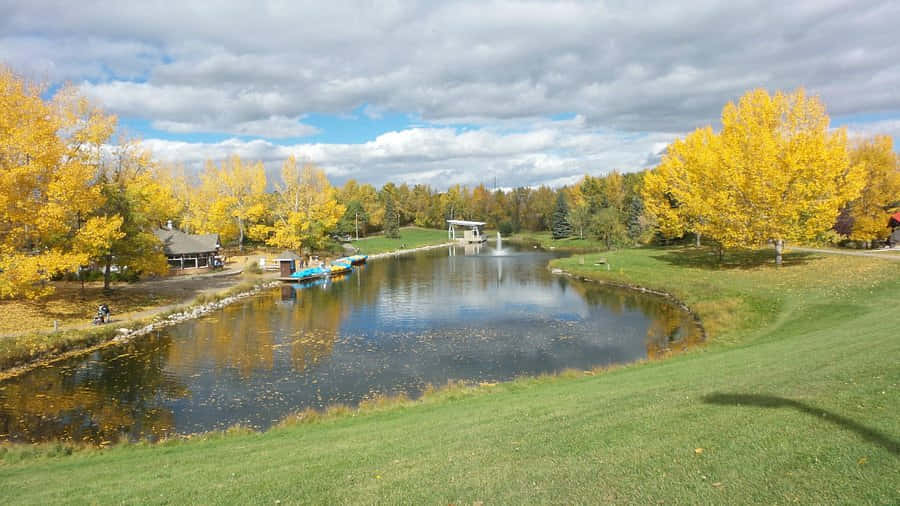 Autumn Park Scenery Red Deer Canada Wallpaper