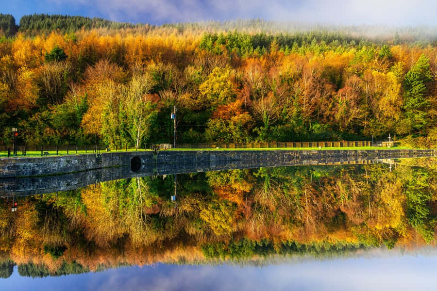 Autumn Reflections Newry U K Wallpaper