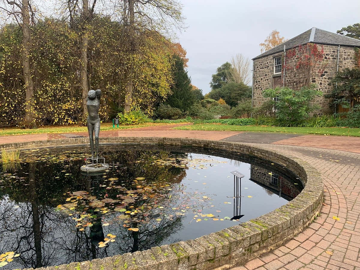 Autumn Reflections Royal Botanic Garden Edinburgh Wallpaper