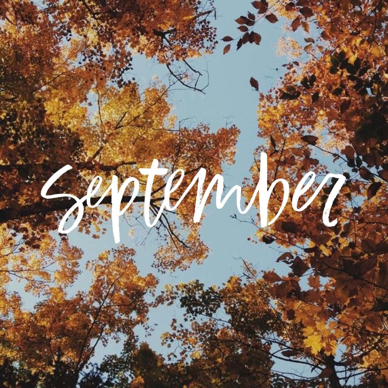 Autumn_ September_ Foliage_ Aesthetic.jpg Wallpaper