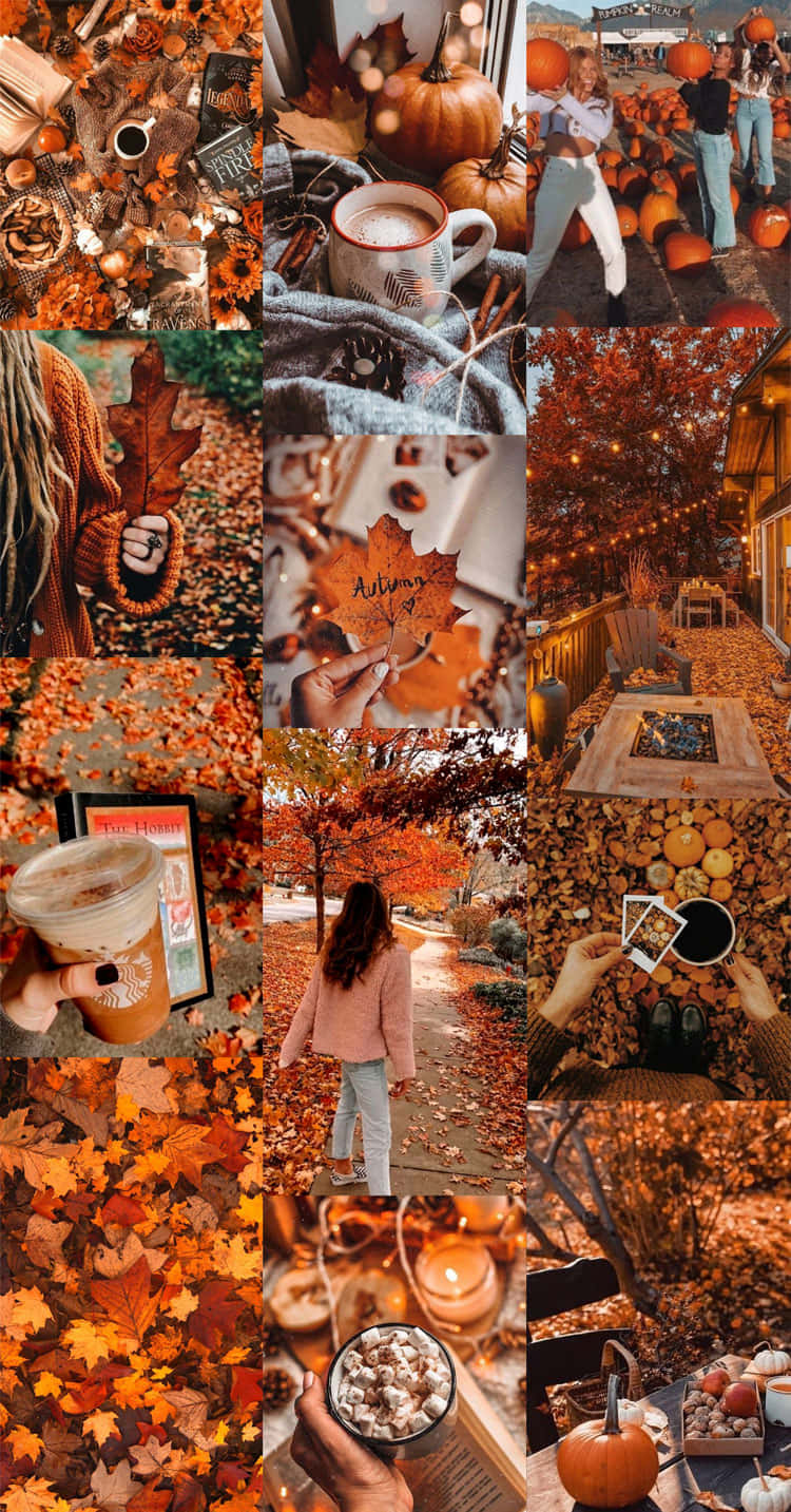 Autumn Vibes Collage.jpg Wallpaper