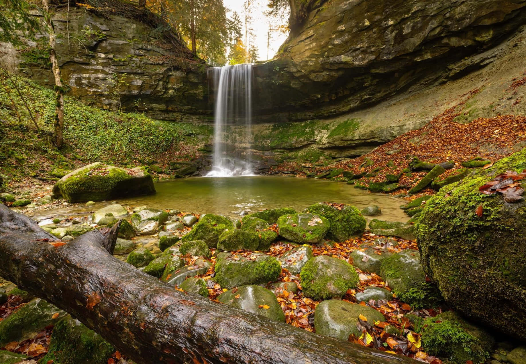 Autumn Waterfall Horgen Switzerland Wallpaper