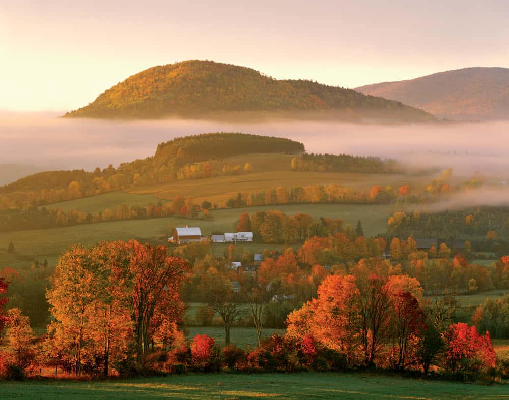 Autumnal_ Morning_ Mist_ Farm_ Landscape Wallpaper