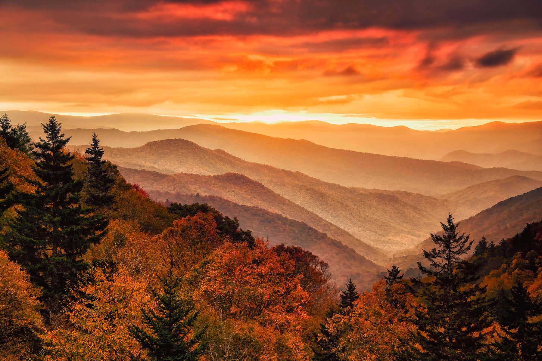 Autumnal_ Mountain_ Sunrise Wallpaper