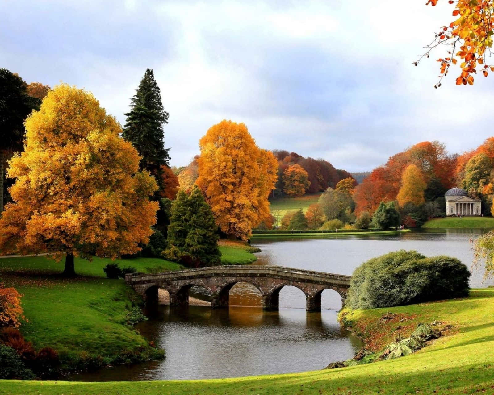 Autumnal Park Scenery Newport Wallpaper