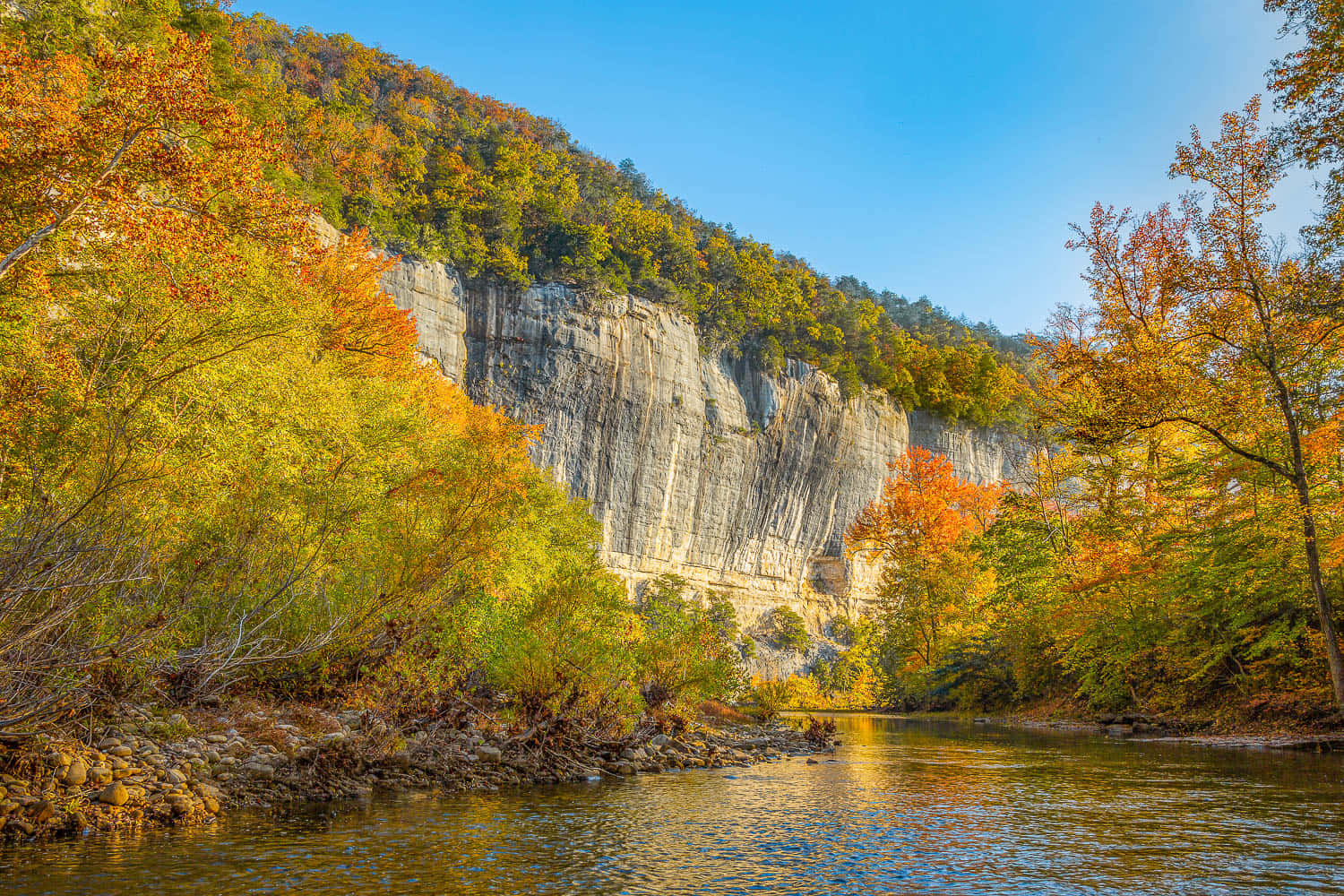 Autumnal_ Riverbank_ Sunrise Wallpaper