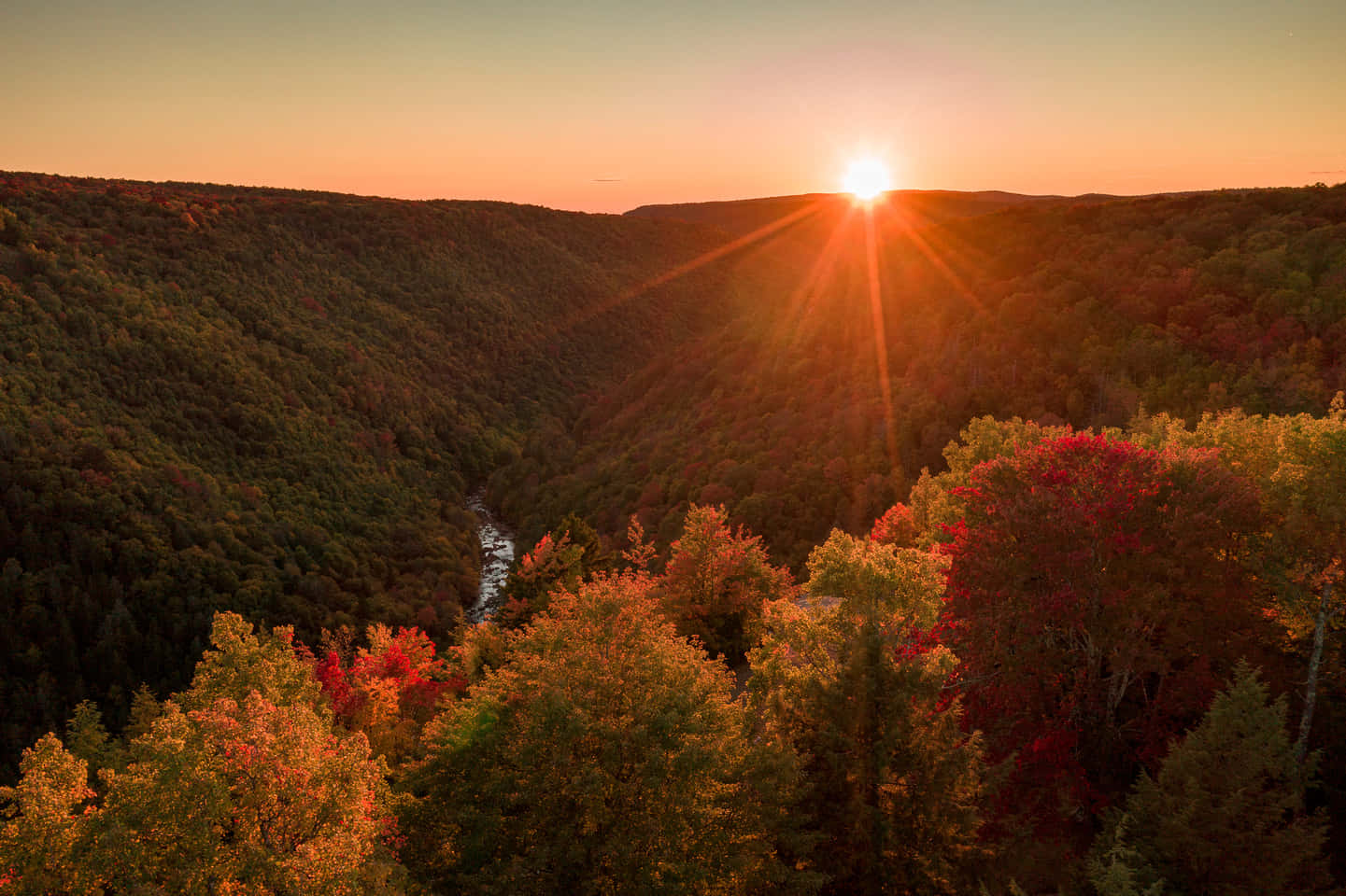 Autumnal Sunrise Over Forest Valley.jpg Wallpaper