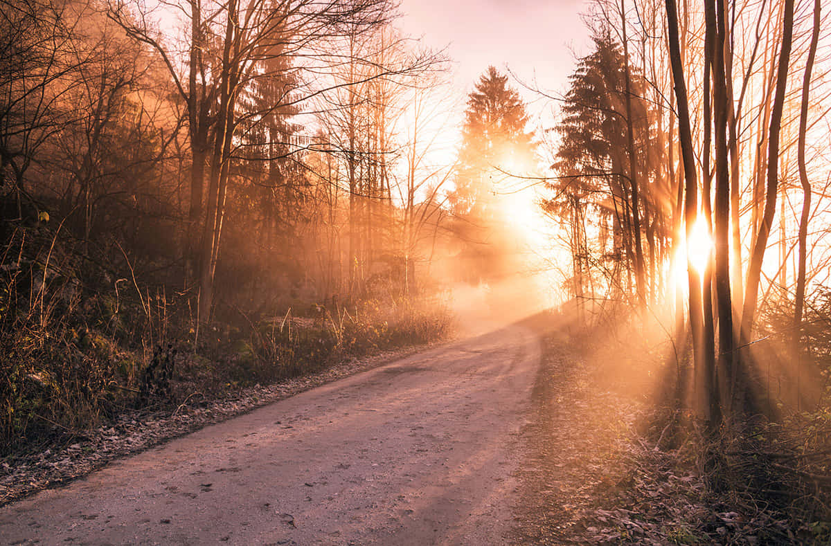 Autumnal Sunrise Path.jpg Wallpaper