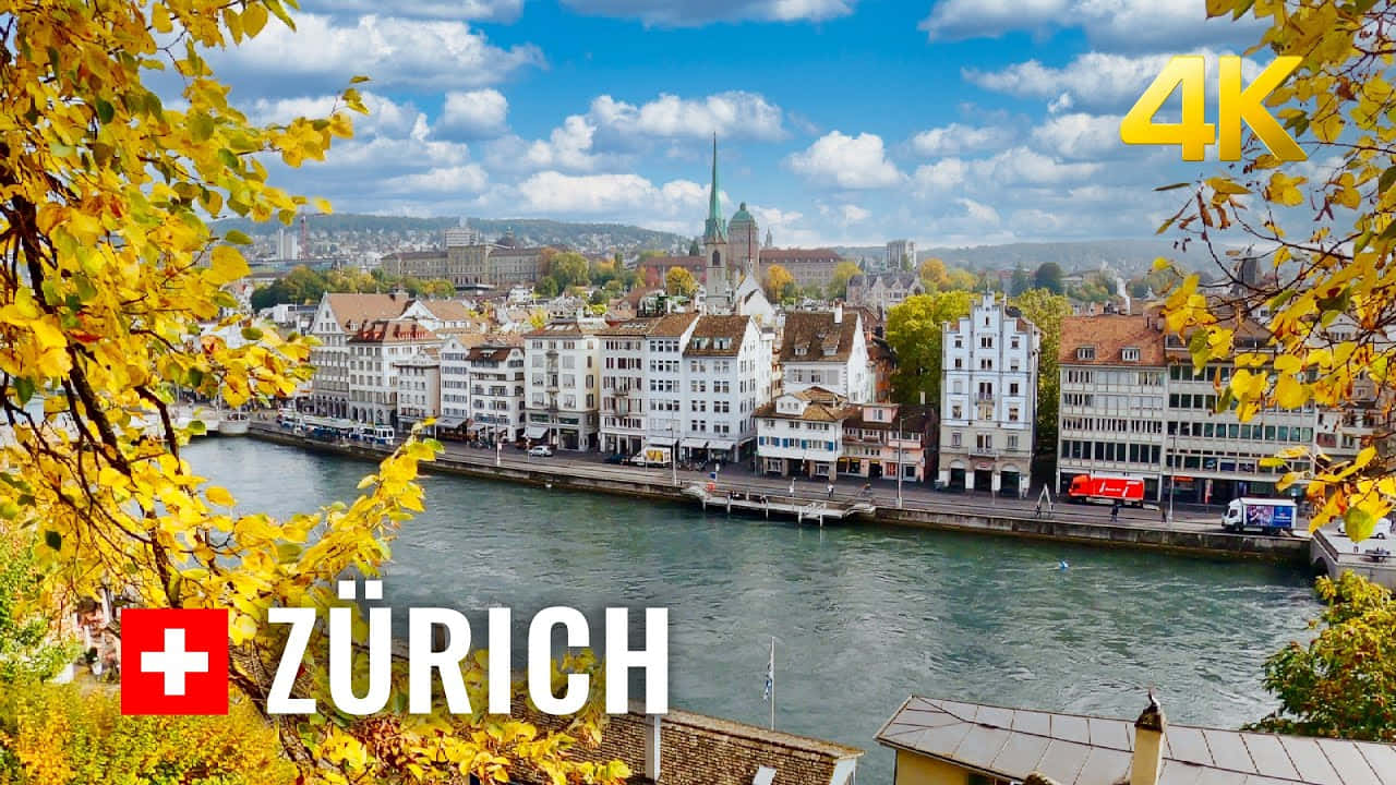 Autumnin Zurich4 K Wallpaper