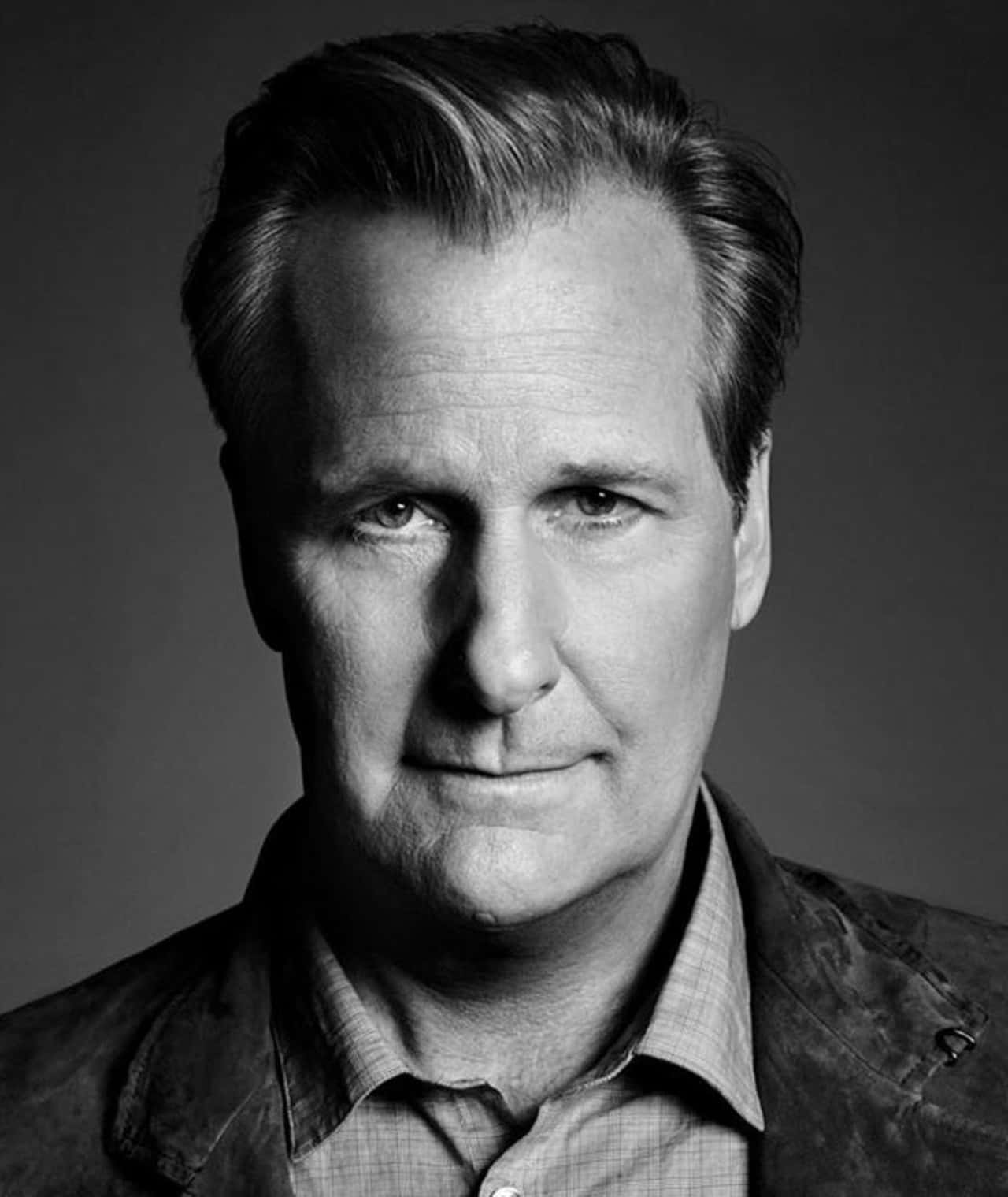 Award-winning Actor Jeff Daniels In A Thoughtful Pose. Wallpaper