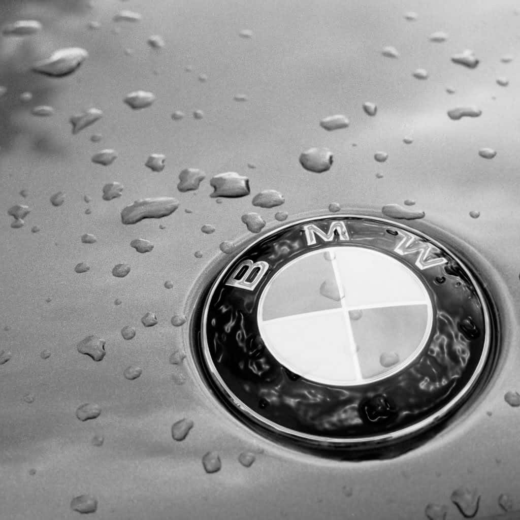 B M W Logo Rain Drops Monochrome Wallpaper