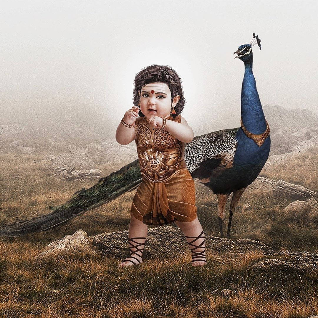 Baby Murugan And Peacock Paravani Wallpaper