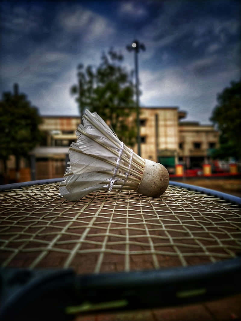 Badminton Shuttlecockon Racket Closeup Wallpaper