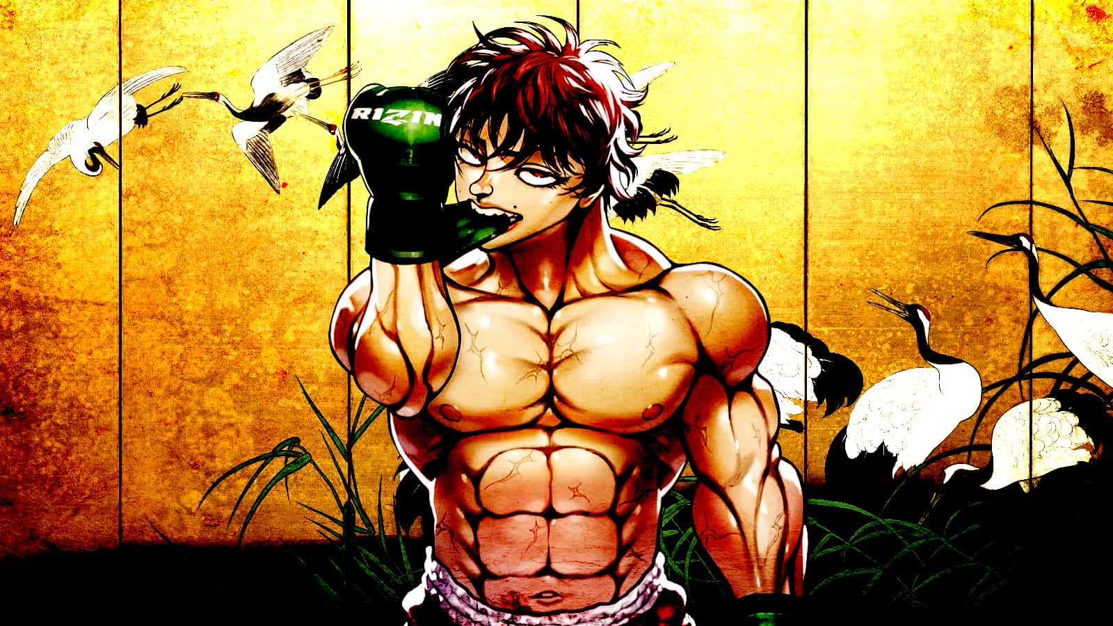 Baki The Grappler Powerful Stance Wallpaper