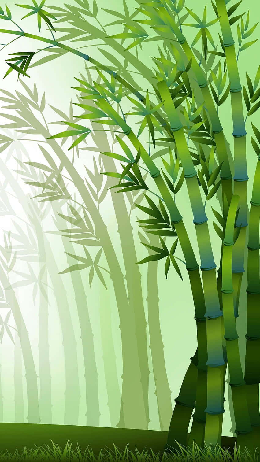 Bamboo Trees In The Forest Wallpaper