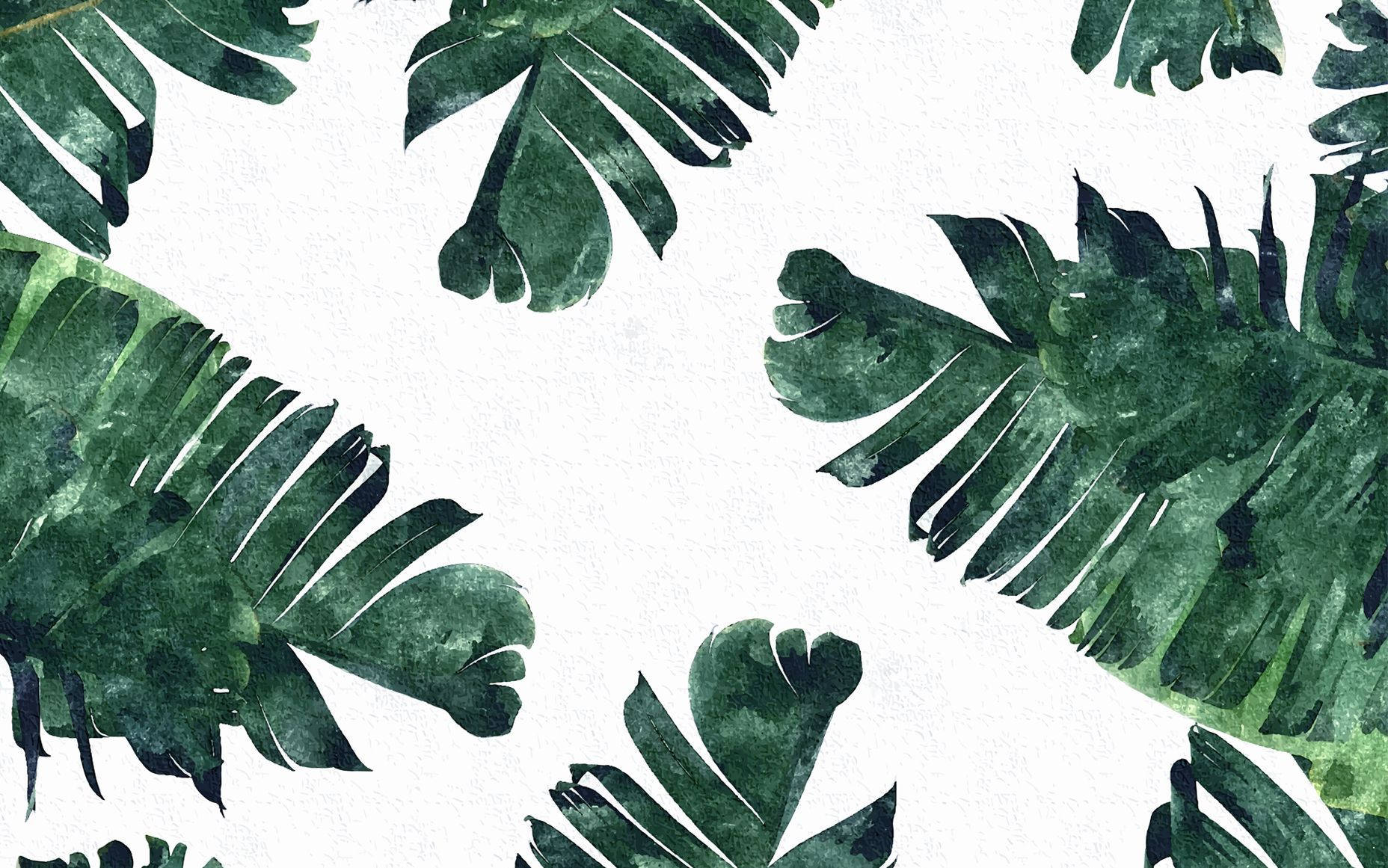 Banana Leaves Water Color Art Wallpaper