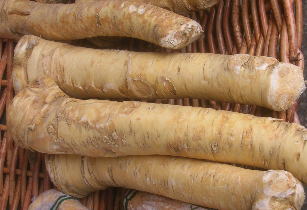 Basket With Horseradish Wallpaper