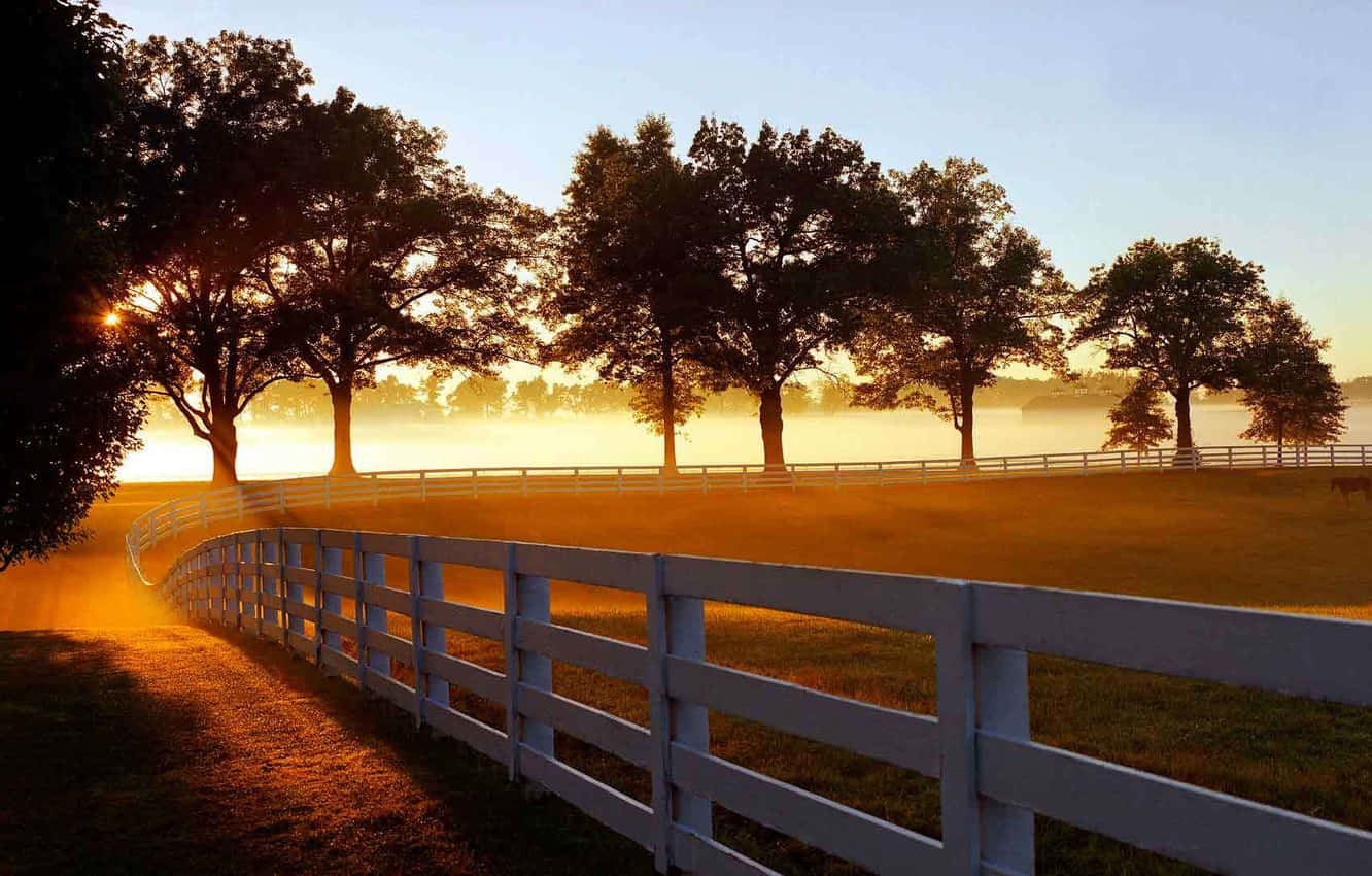 Be One With Nature: Enjoy A Relaxing Stay At Ranch Wallpaper