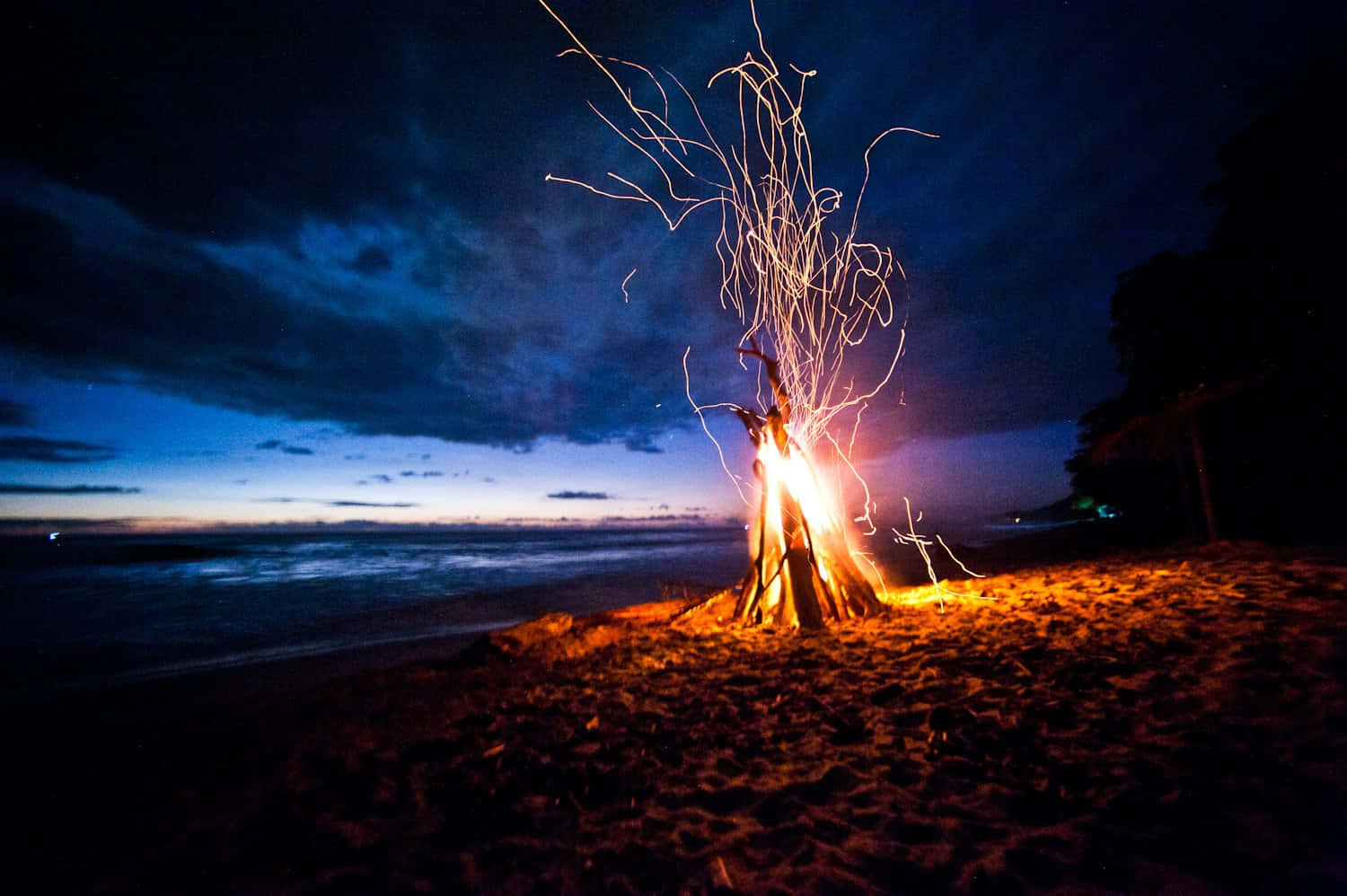 Beach Bonfire Under The Starry Sky Wallpaper