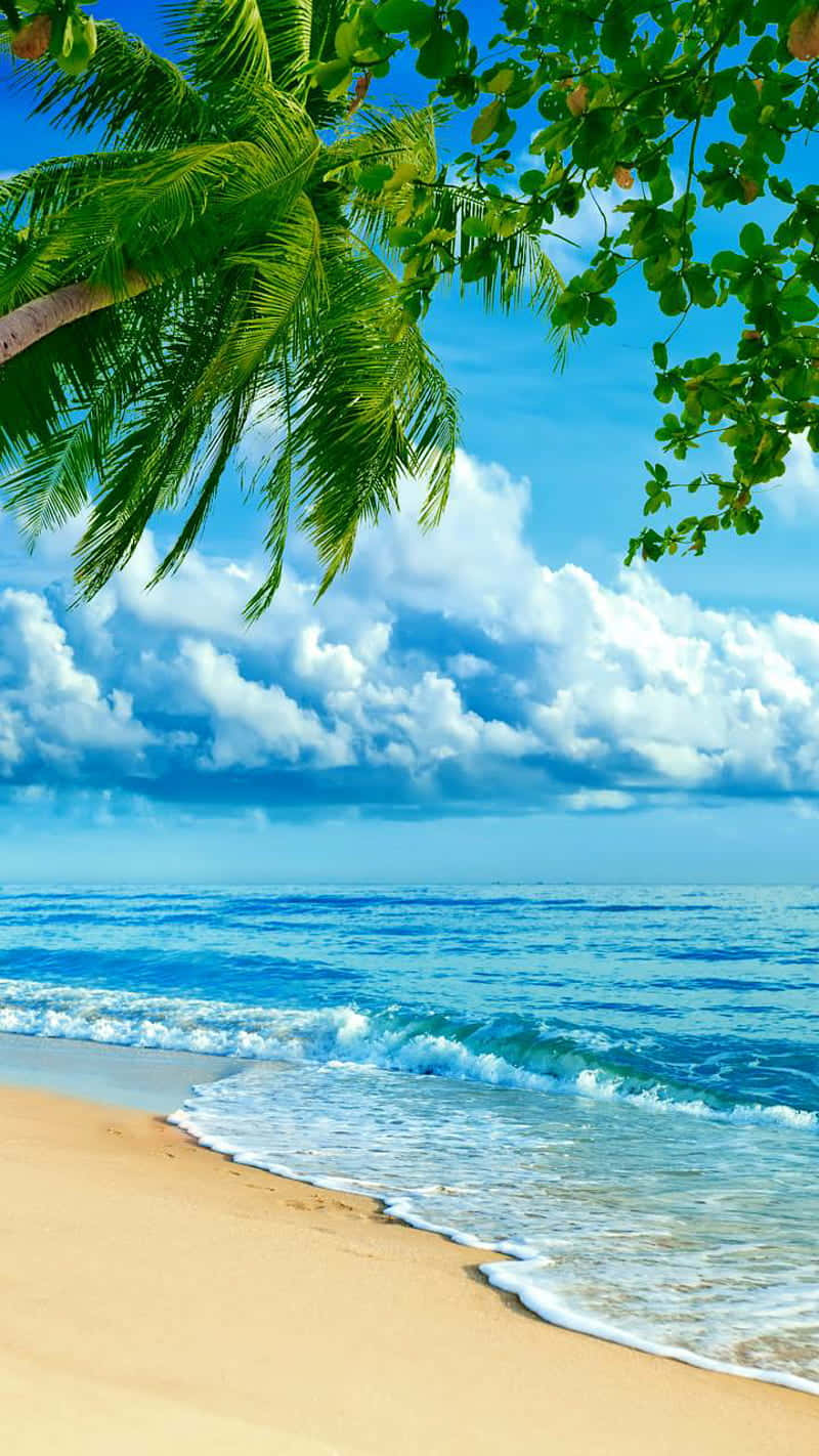 Beach Holiday 800 X 1422 Wallpaper Wallpaper