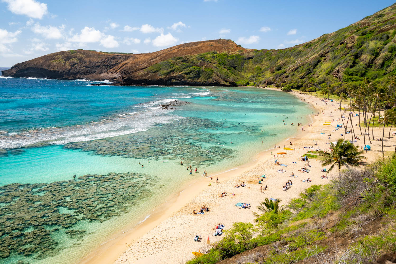 Beach In Oahu Wallpaper