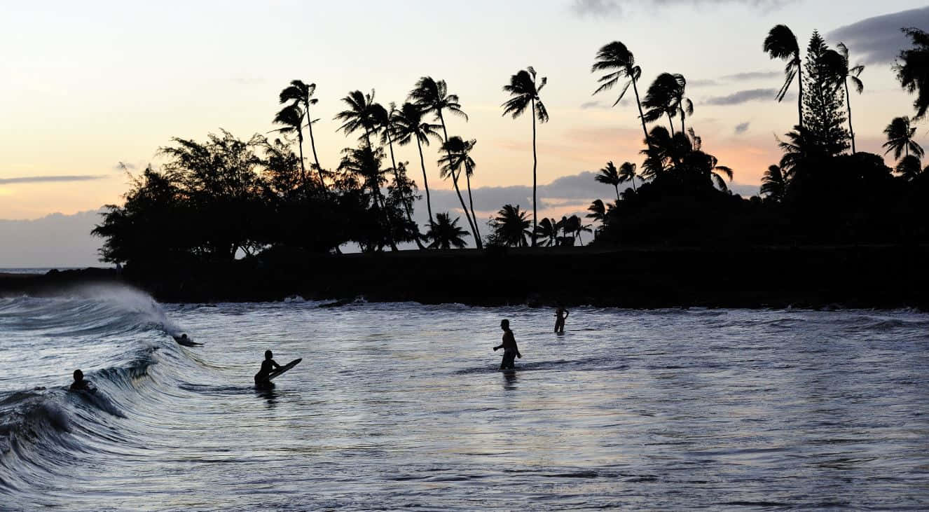 Beach Water Sports Adventure Wallpaper