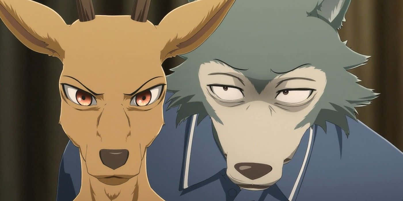 Beastars Anthropomorphic Confrontation Wallpaper