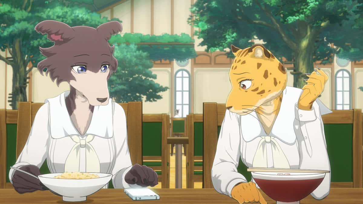 Beastars Junoand Legoshi Dining Scene Wallpaper