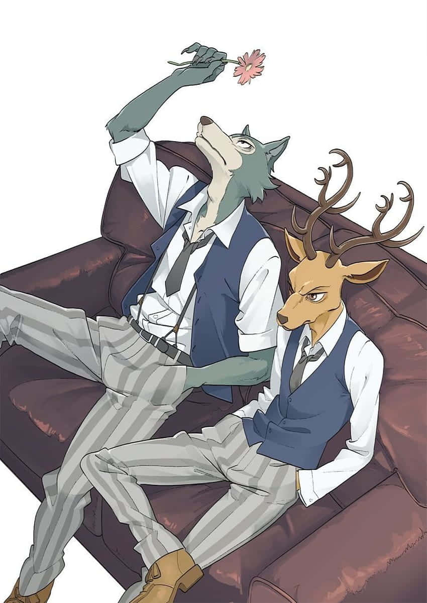 Beastars Legoshiand Louis Relaxing Wallpaper