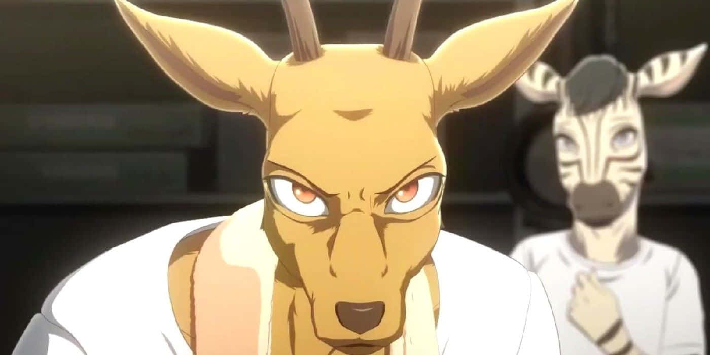 Beastars Louis Intense Gaze Wallpaper