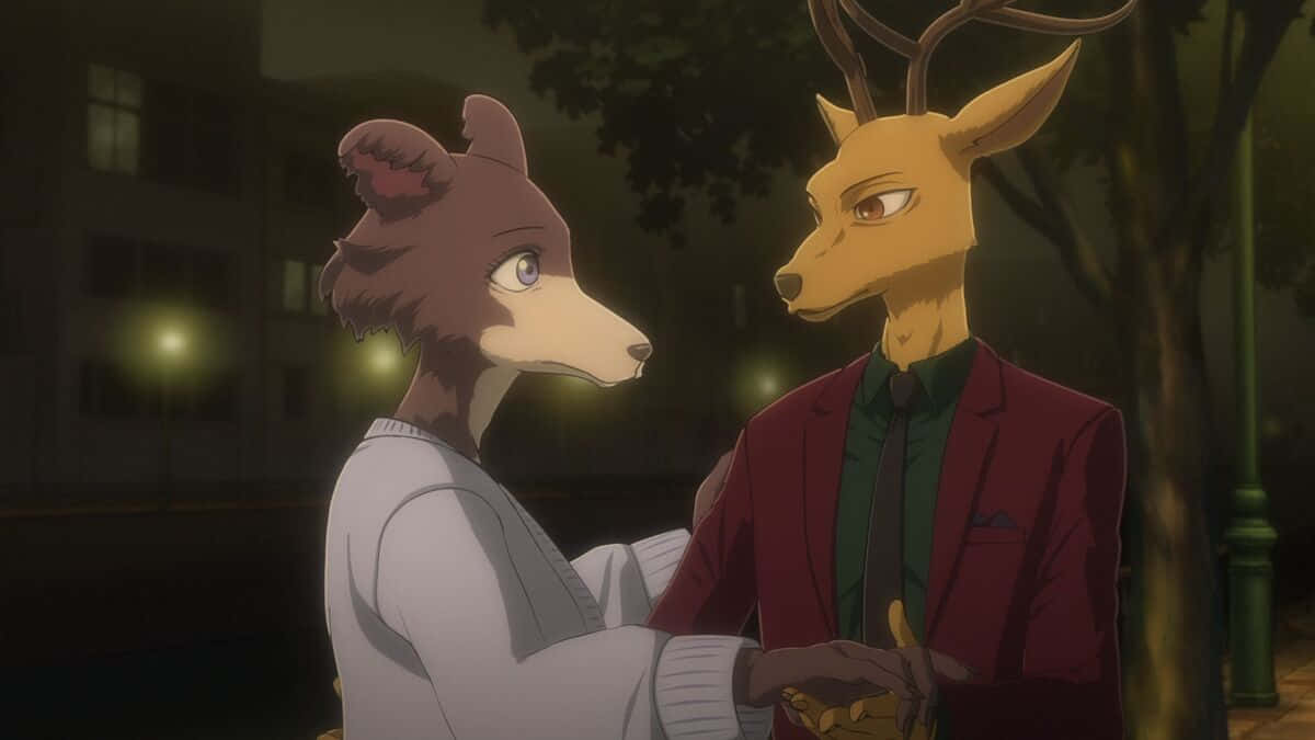 Beastars Louisand Legoshi Conversation Wallpaper