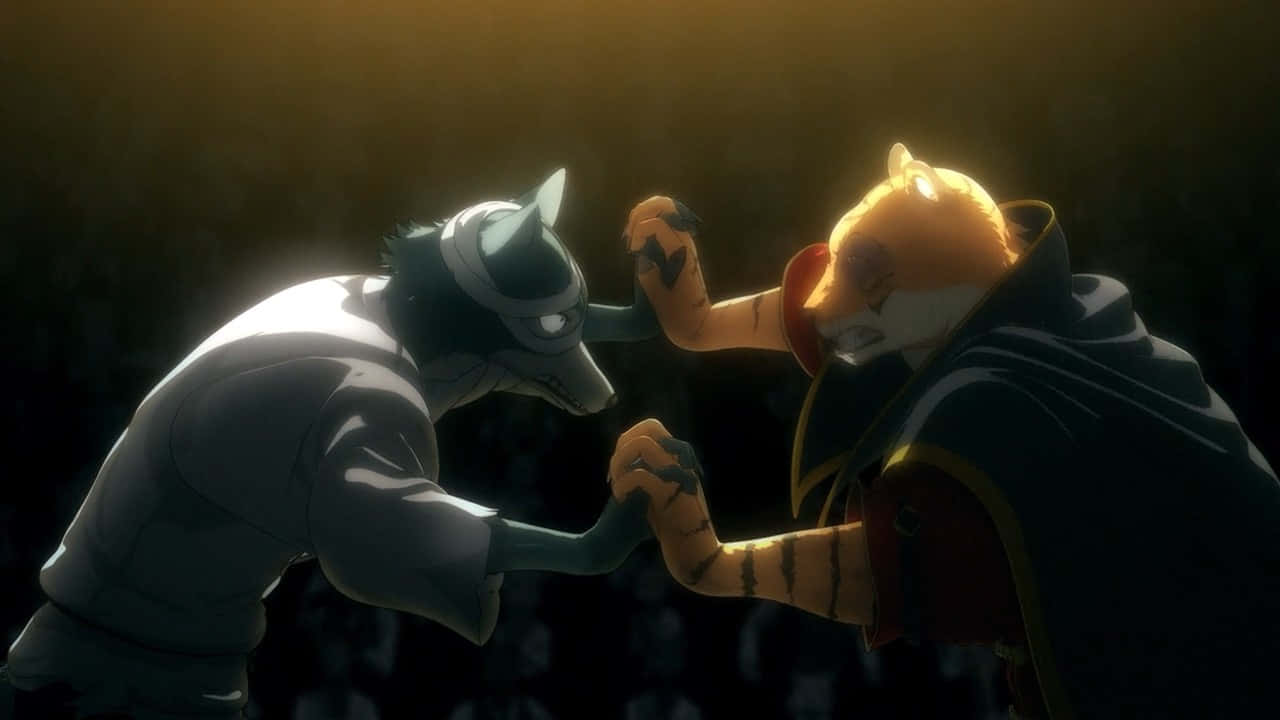 Beastars Showdown Billand Legoshi Wallpaper